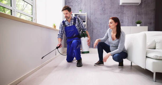 Best Residential Pest Control  in Riverton, WY